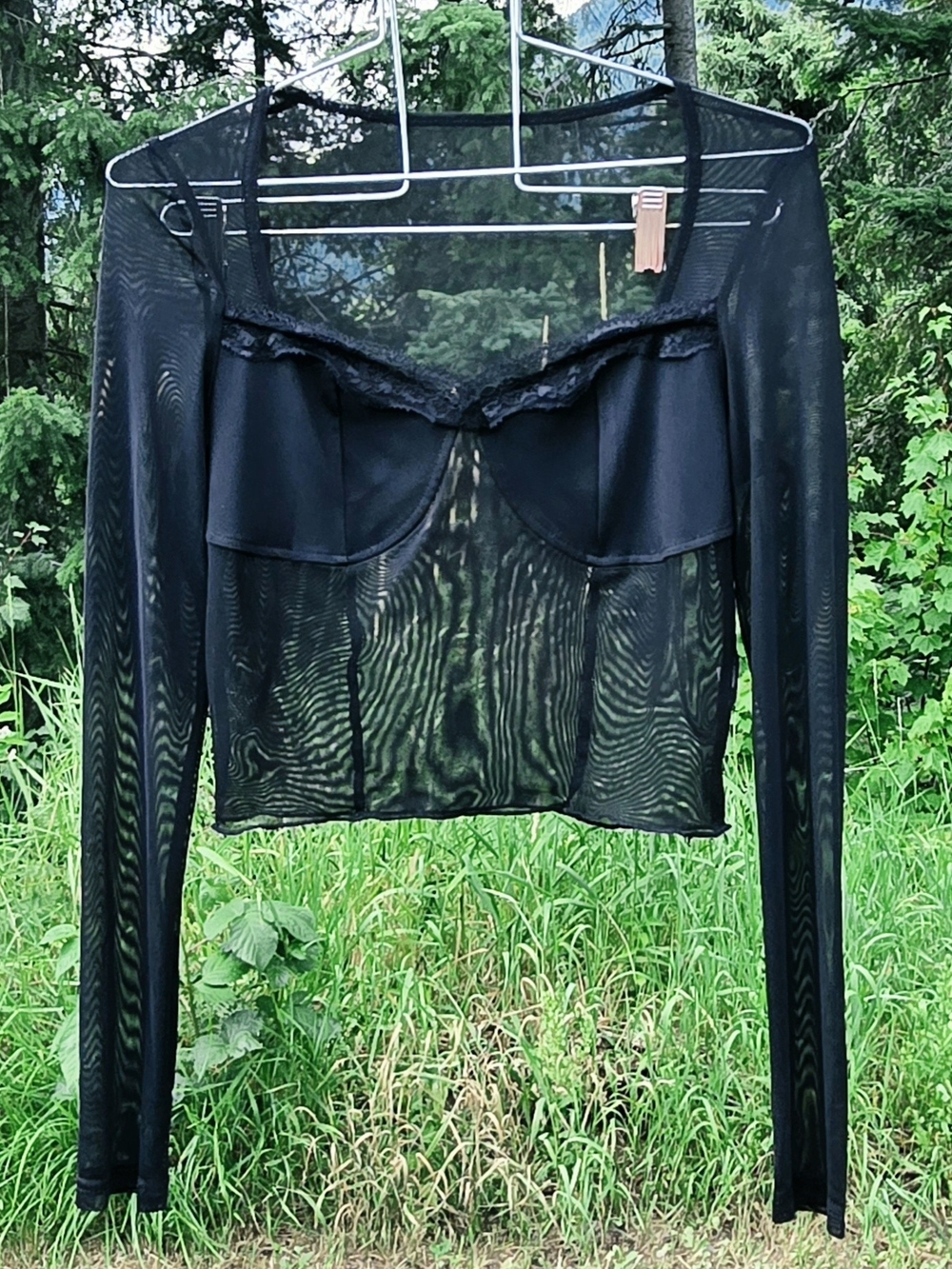 Black Sheer Mesh Long Sleeve Corset Bustier Top